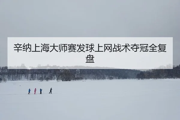 辛纳上海大师赛发球上网战术夺冠全复盘